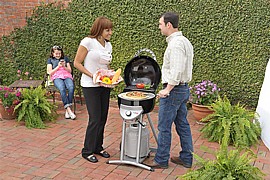���� Patio Bistro 240 ����