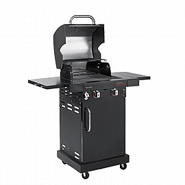 ���� �� 2 ������ ����� Professional core